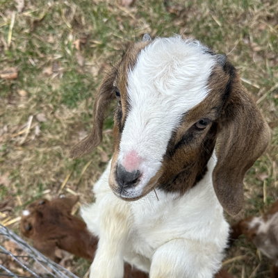 Benson profile picture