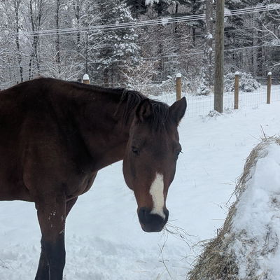 Miss Congeniality profile picture