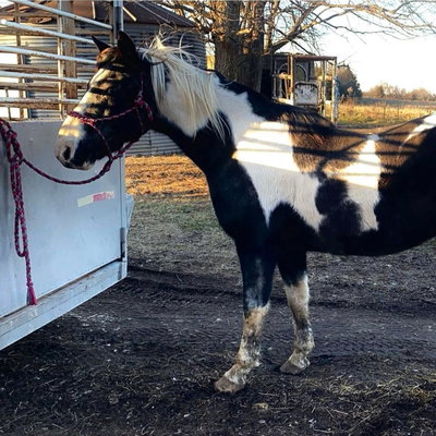 Soldier profile picture