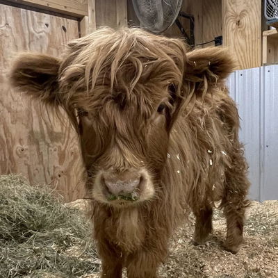 No Name profile picture