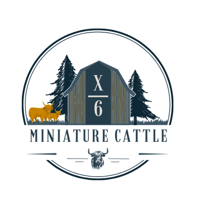 Xbar6 Miniature Cattle profile picture