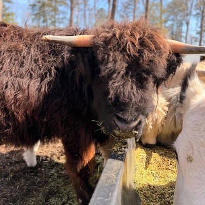 Betty profile picture