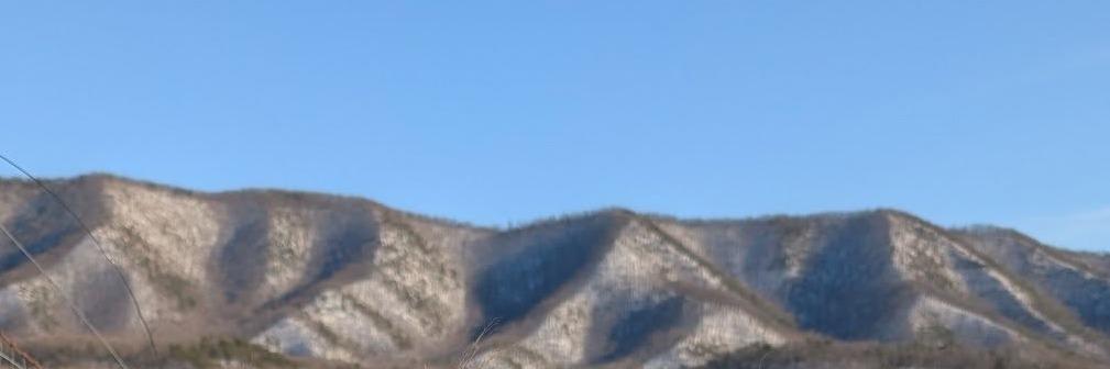 HHA Piper profile cover image