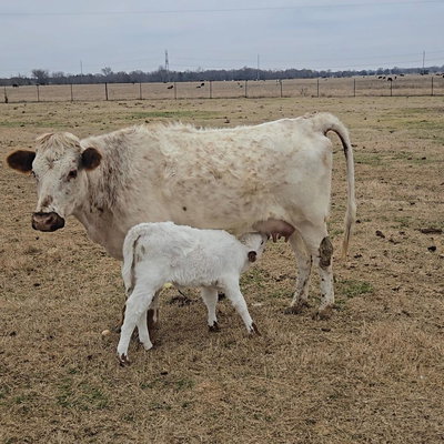 Sallie Mae profile picture