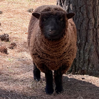 Ethel profile picture