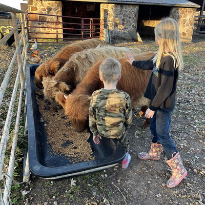 Country Haven Highlands profile picture