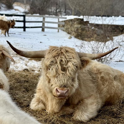 Konrad profile picture