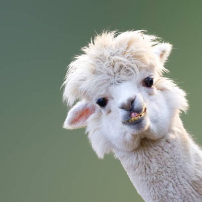 Larry profile picture