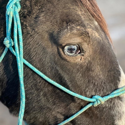 Meredith profile picture