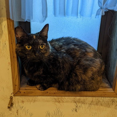 Zoe profile picture