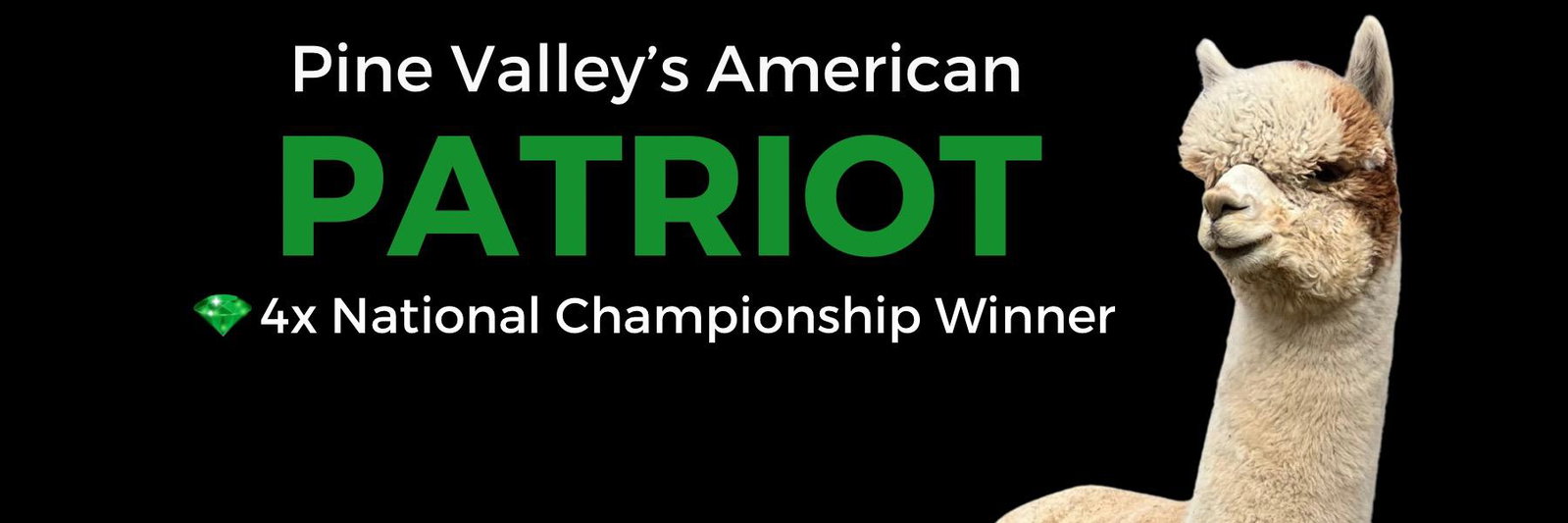 Pine Valley's American Patriot profile cover image