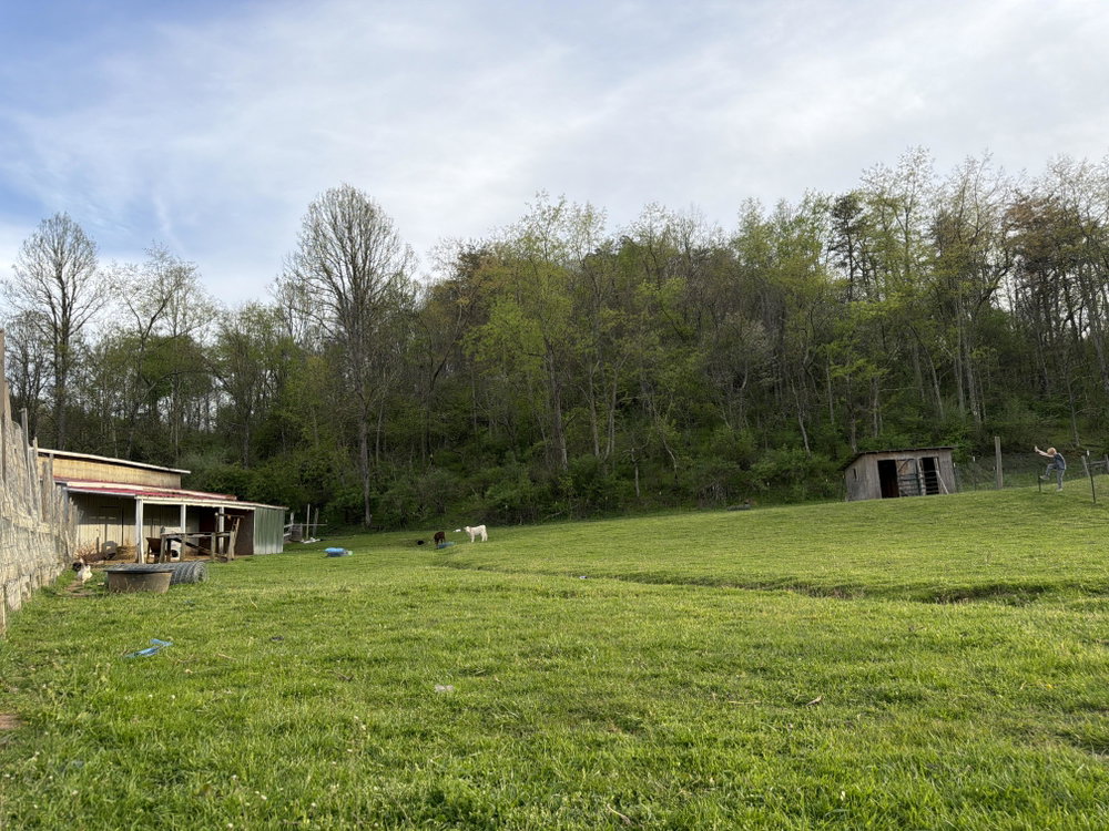 Five B Farm Boarding, photo 5