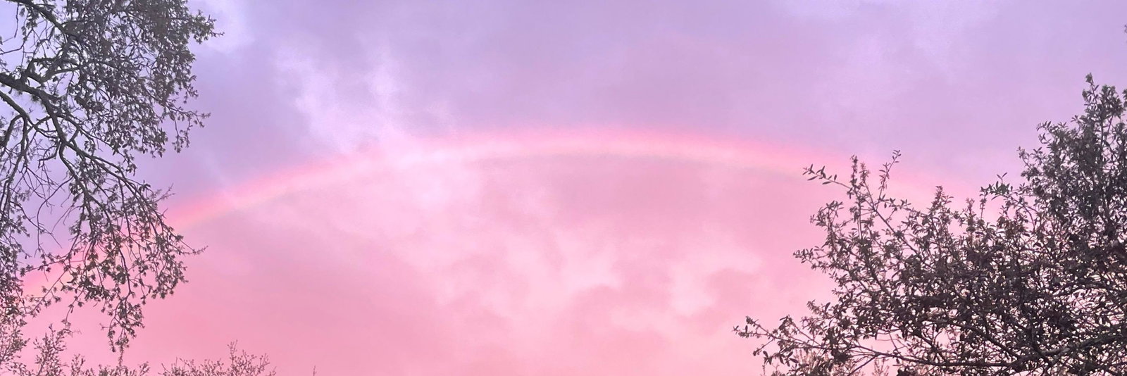 Twix profile cover image