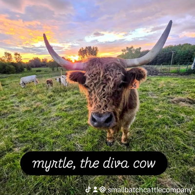 Michelle Klymko profile picture
