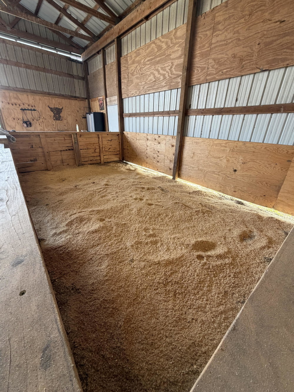 Premium Cattle/Calf Boarding, photo 5