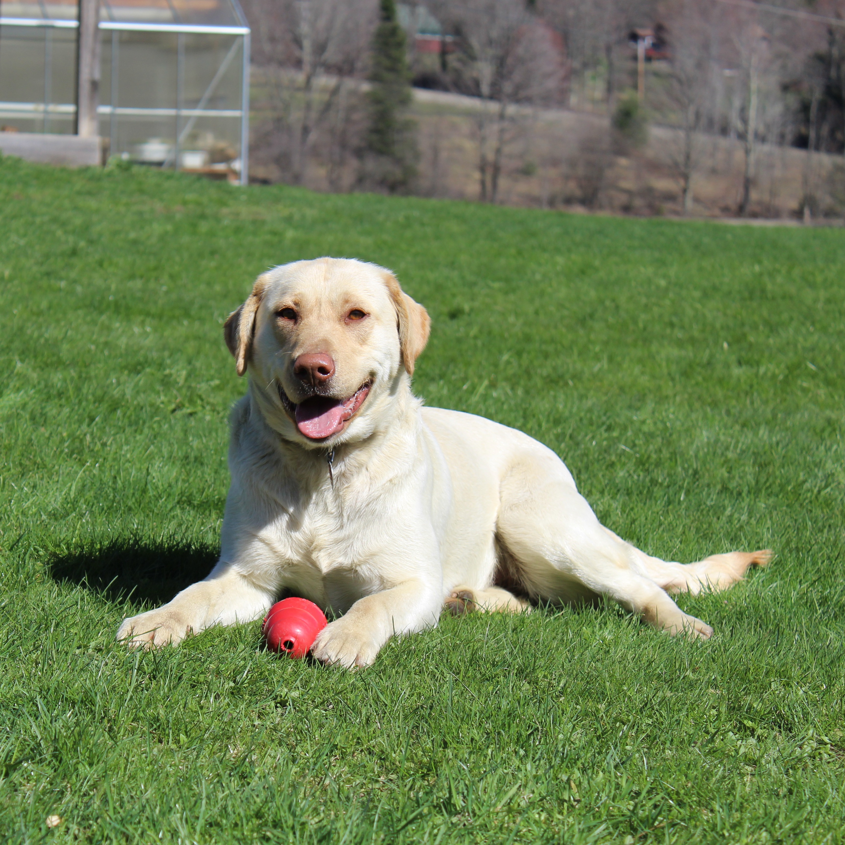 Moxie profile picture