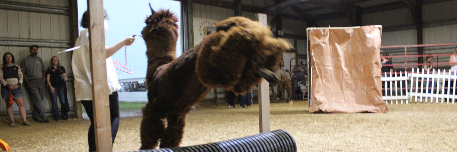 PPWI Chaco profile cover image