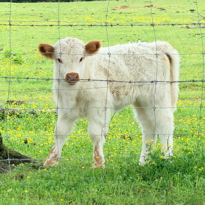 Margot profile picture