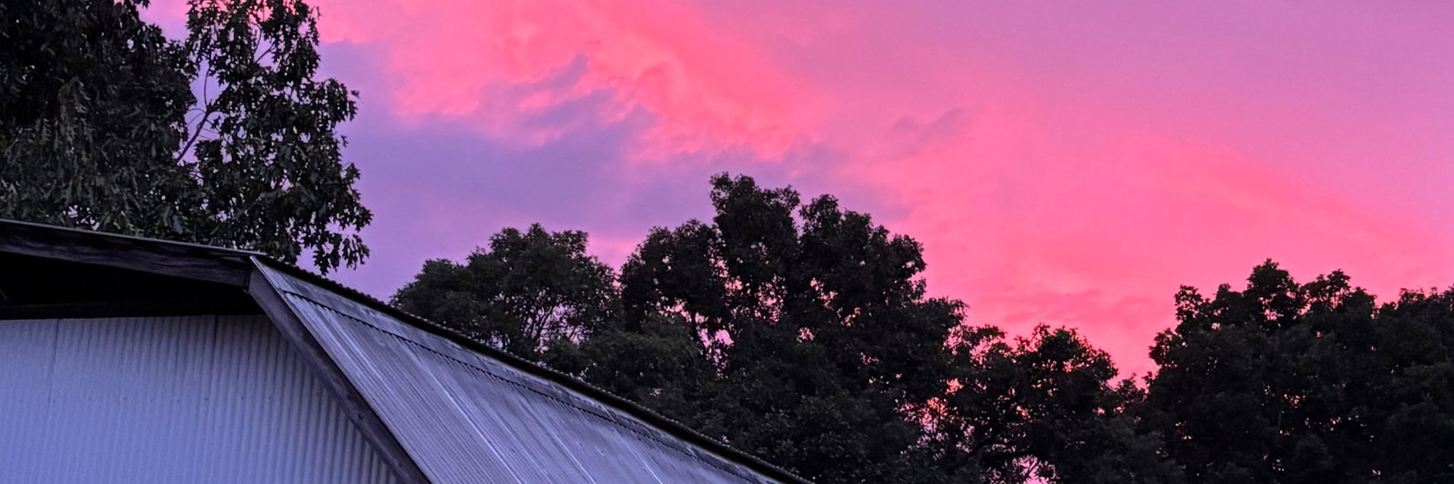 Delta Dawn profile cover image