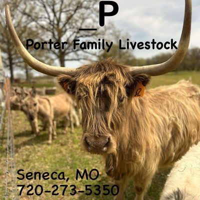 Porter Family Livestock LLC profile picture