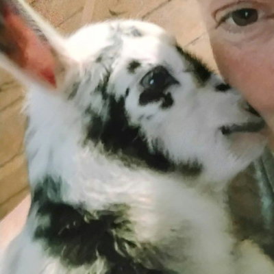 Dotty profile picture