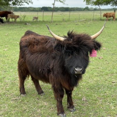 PR Molly profile picture