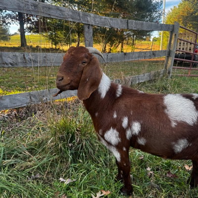 Ethel profile picture
