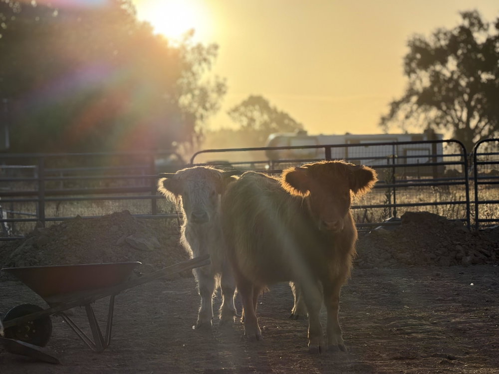 Farm Tour, photo 2