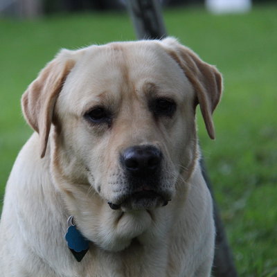 Sukie profile picture