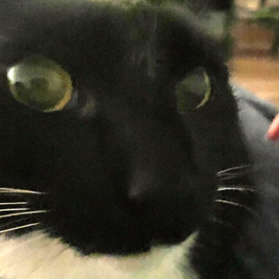 Sophie profile picture