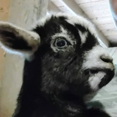 Patty profile picture