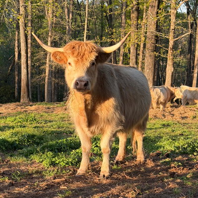 Beth profile picture