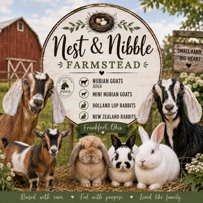 Nest and nibble farmstead profile picture
