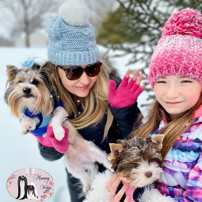 Mommy & Me Yorkies profile picture