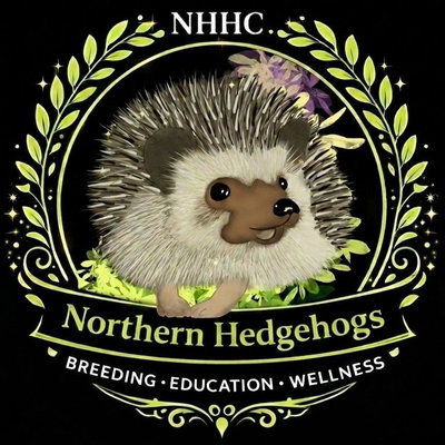 Northern Hedgehogs profile picture