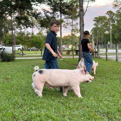 Bubba profile picture