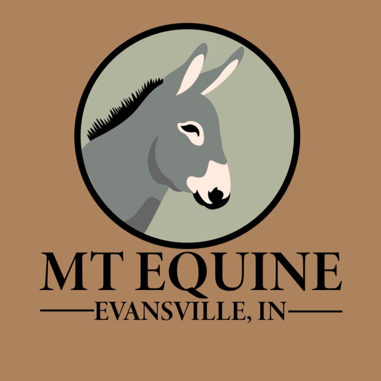 MT Equine profile picture