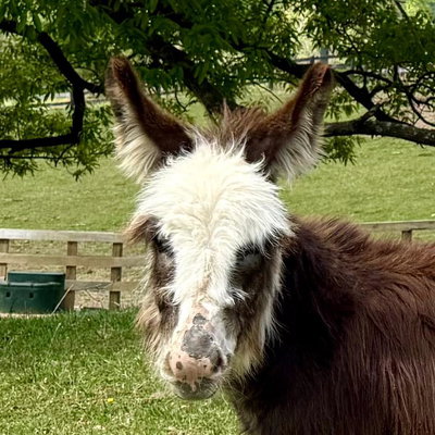 Marguerite profile picture