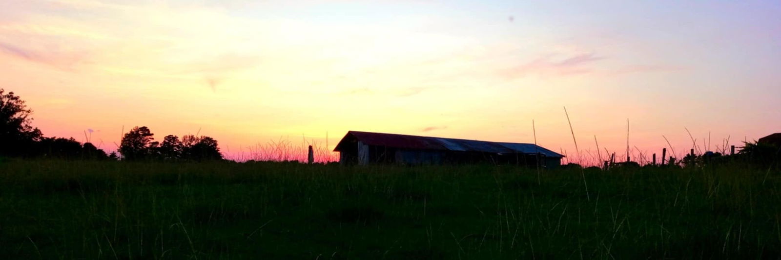 Hayley Jolly profile cover image