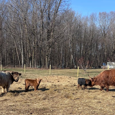 Brand Hollow Farm LLC profile picture