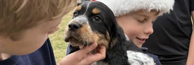 Ginny profile cover image