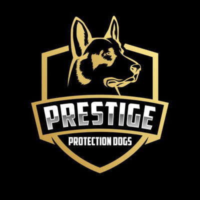Prestige Protection Dogs profile picture
