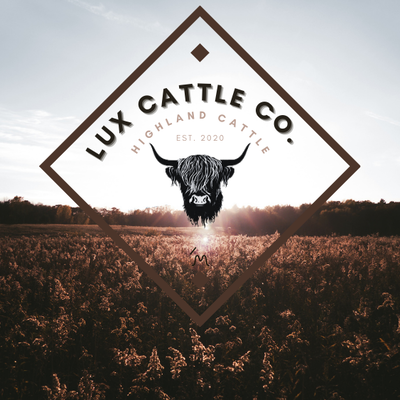 Lux Cattle CO. profile picture