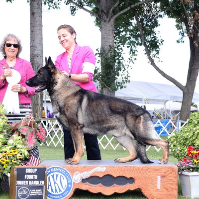 Katie Halfen profile picture