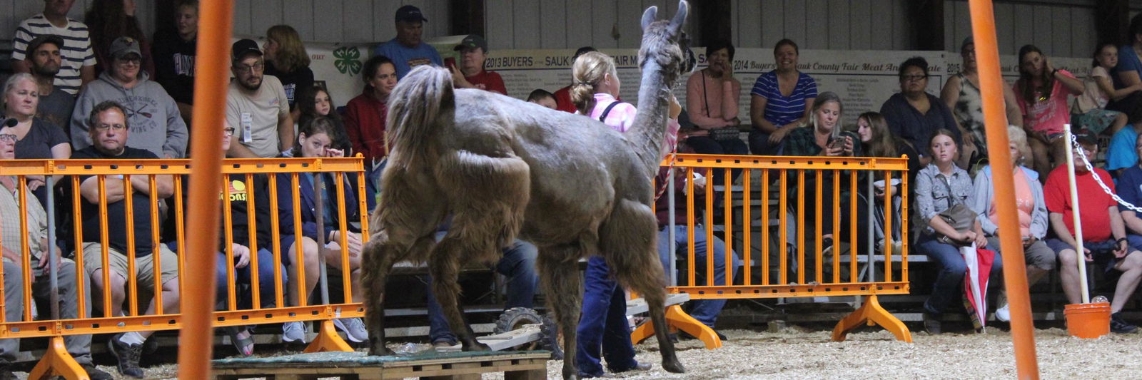 SRLL Estelle profile cover image