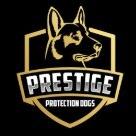 Prestige Protection Dogs profile picture