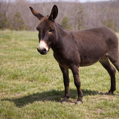 Jonesey profile picture