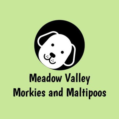 Meadow Valley Puppies profile picture