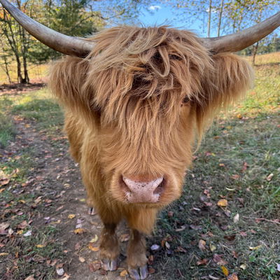 Marsha Rea profile picture