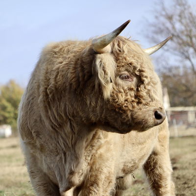 Punchy profile picture